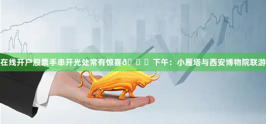 在线开户股票手串开光处常有惊喜🎎下午：小雁塔与西安博物院联游